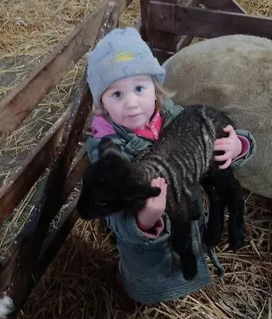 Апартаменты Erholung Auf Der Deichschaeferei Mit Deichblick Шиллиг