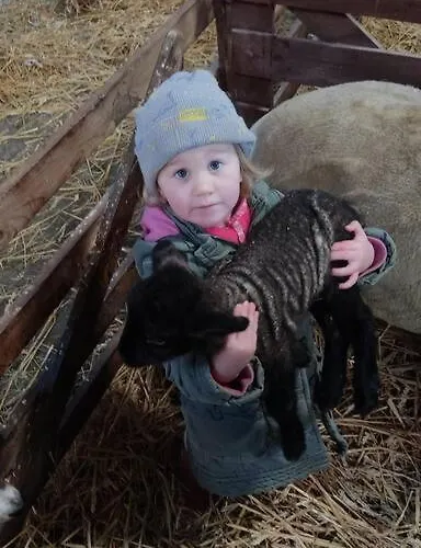 아파트 Erholung Auf Der Deichschaeferei Mit Deichblick 쉴리그