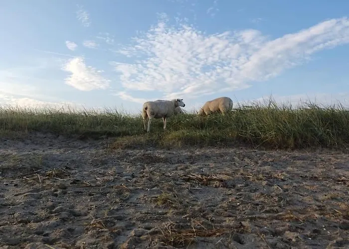 Erholung Auf Der Deichschaeferei Mit Deichblick 아파트